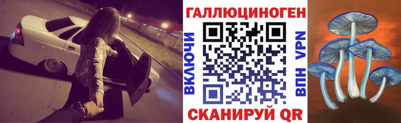 Купить где  Щигры  Псилоцибиновые грибы ЛСД 